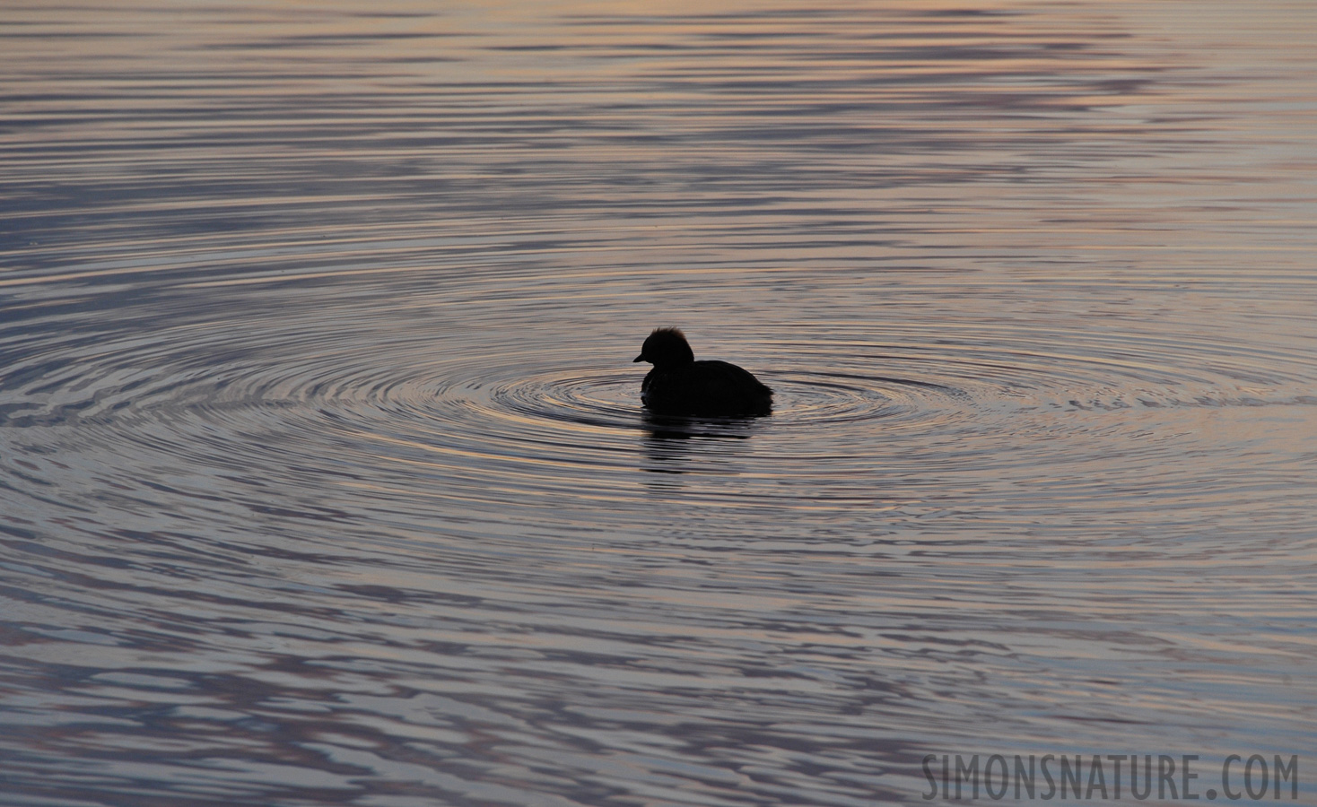 Sunset at midnight [300 mm, 1/250 sec at f / 9.0, ISO 800]